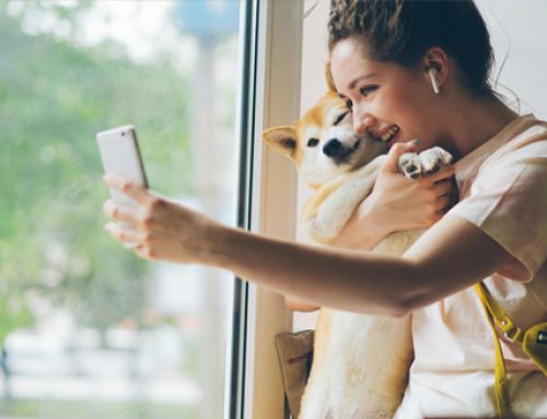 Casa pasiva y perfiles aluplast: eficiencia, diseño y confort en una misma solución