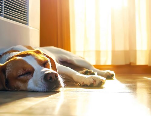 ¿Tu factura de la luz se dispara en verano? Tener buenas ventanas frena el calor y el gasto