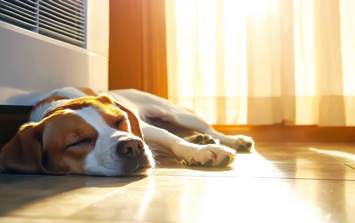 ¿Tu factura de la luz se dispara en verano? El cambio de ventanas frena el calor y el gasto
