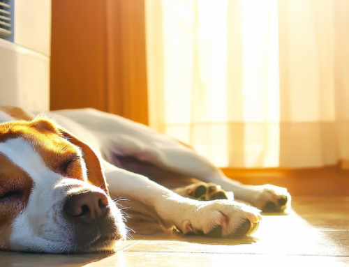 ¿Tu factura de la luz se dispara en verano? Tener buenas ventanas frena el calor y el gasto