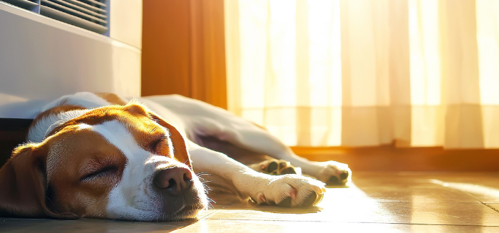¿Tu factura de la luz se dispara en verano? El cambio de ventanas frena el calor y el gasto
